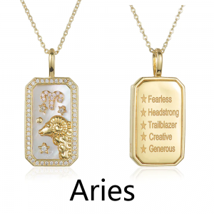 Zodiac Amulet Necklace