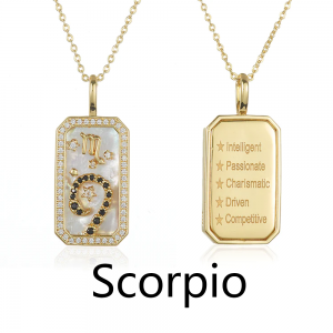 Zodiac Amulet Necklace