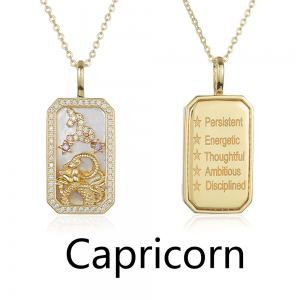 Zodiac Amulet Necklace
