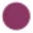Berry