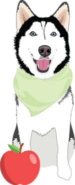 Husky 1