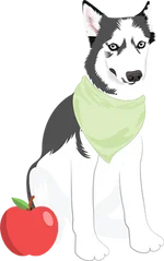 Husky 2