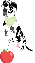 Great dane 1