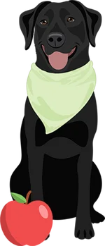 Labrador 2