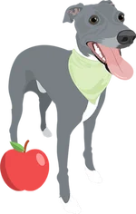 Greyhound 1