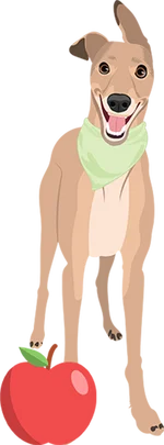 Greyhound 3