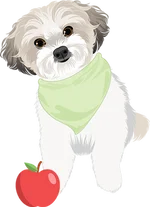 Maltese 3