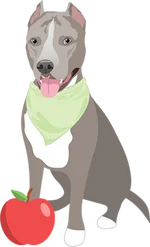 Pitbull 1
