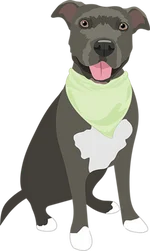 Pitbull 3