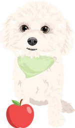 Poodle 3