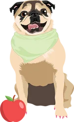 Pug 2