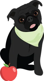 Pug 3