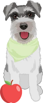 Schnauzer 1