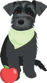 Schnauzer 2