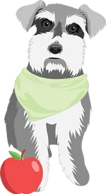 Schnauzer 3