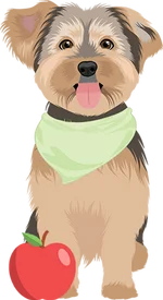Yorkie 2