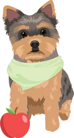Yorkie 4