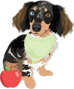 Dachshund 2