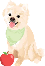 Pomeranian 3