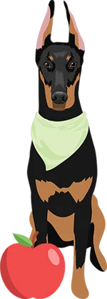 Doberman 1