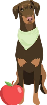Doberman 2