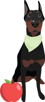 Doberman 3