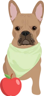 French bulldog 1