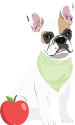 French bulldog 2
