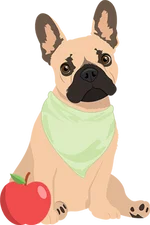 French bulldog 4