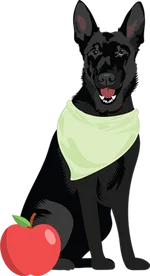 German shepherd 3