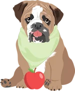American Bulldog 1