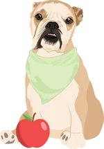 American Bulldog 2