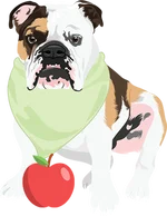 American Bulldog 3