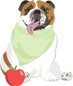 American Bulldog 4