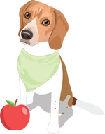 Beagle 4
