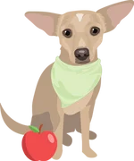 Chihuahua 1