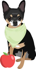 Chihuahua 2