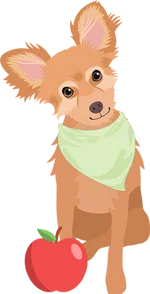 Chihuahua 3