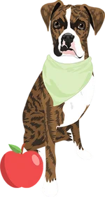 Boxer 2