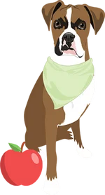 Boxer 3