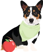 Corgi 3