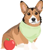 Corgi 4