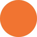 4- Lt.Orange