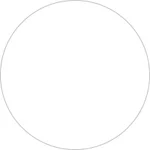 12- White