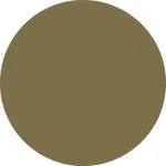 25- Gold(Metallic)