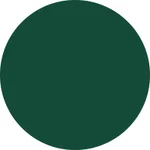 26- Dark Green