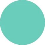 29- Mint