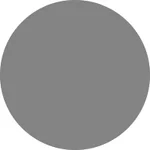 31- Silver(Metallic)