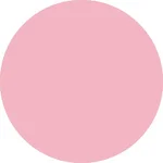 37- Carnation
