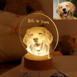 3D Photo Night Light
